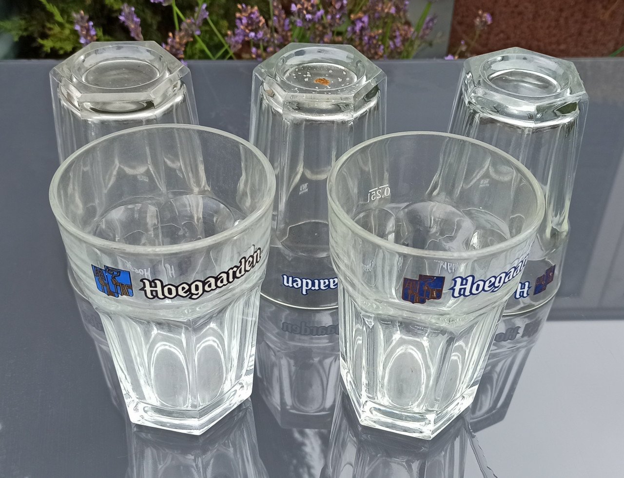 5 Hoegaarden glazen voor €1 - nooit gebruikt maar stoffig