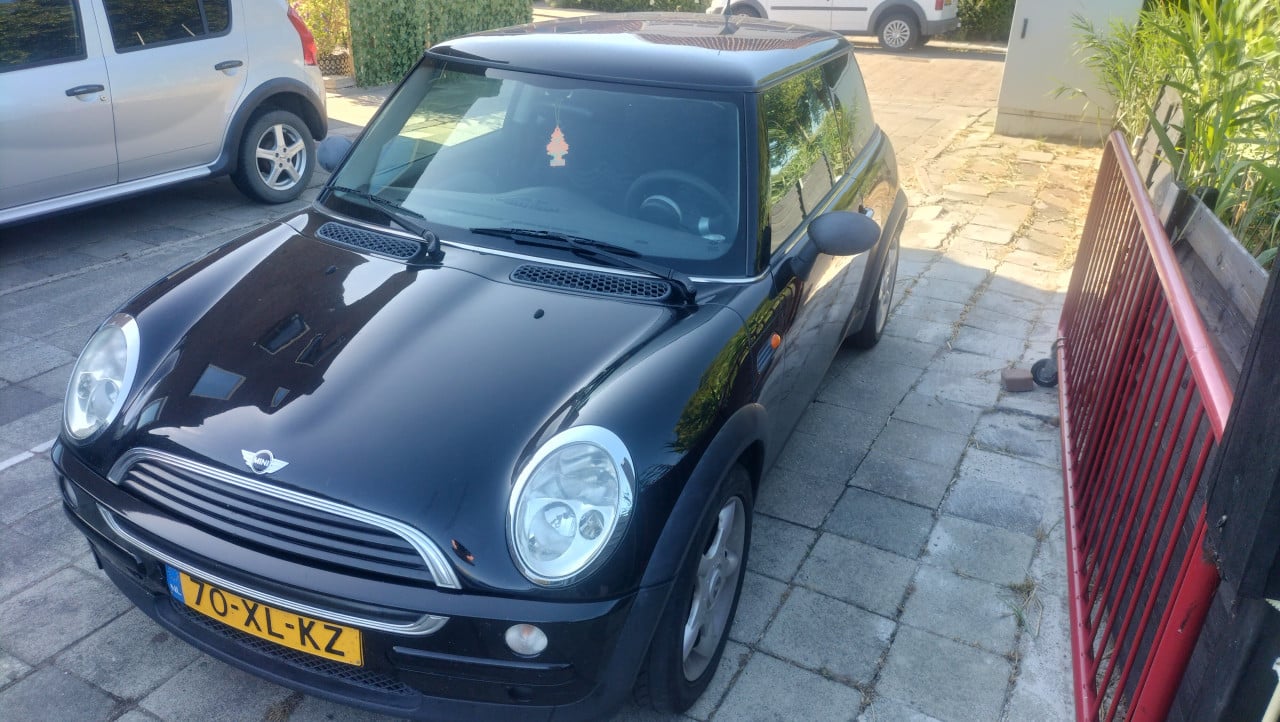 Leuke mini