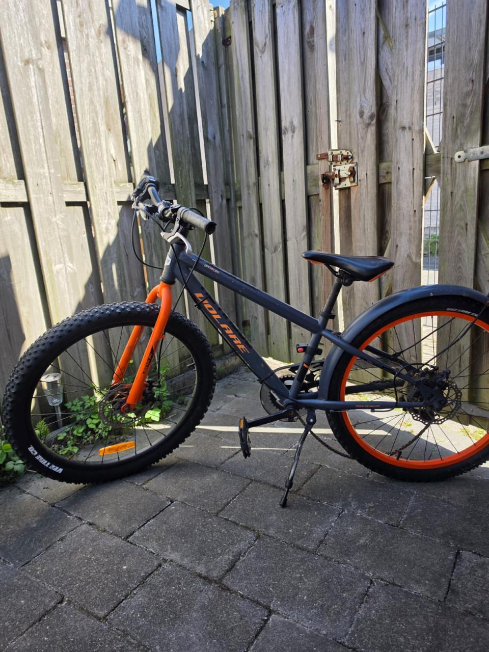 2x Mountenbike Volare