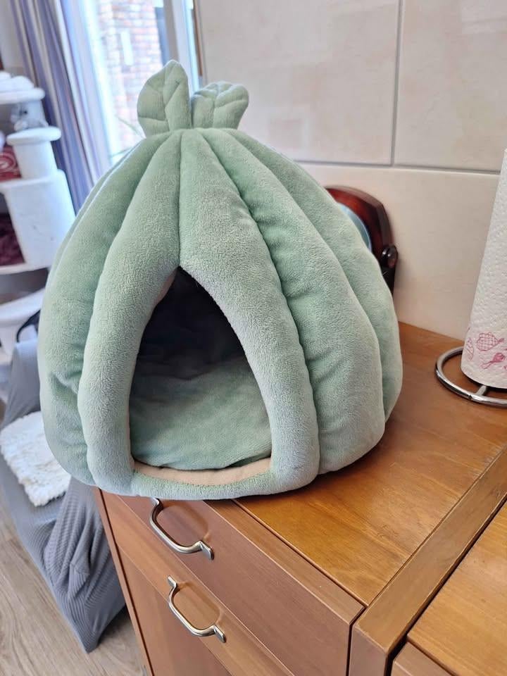 Kattenmand in nieuwstaat