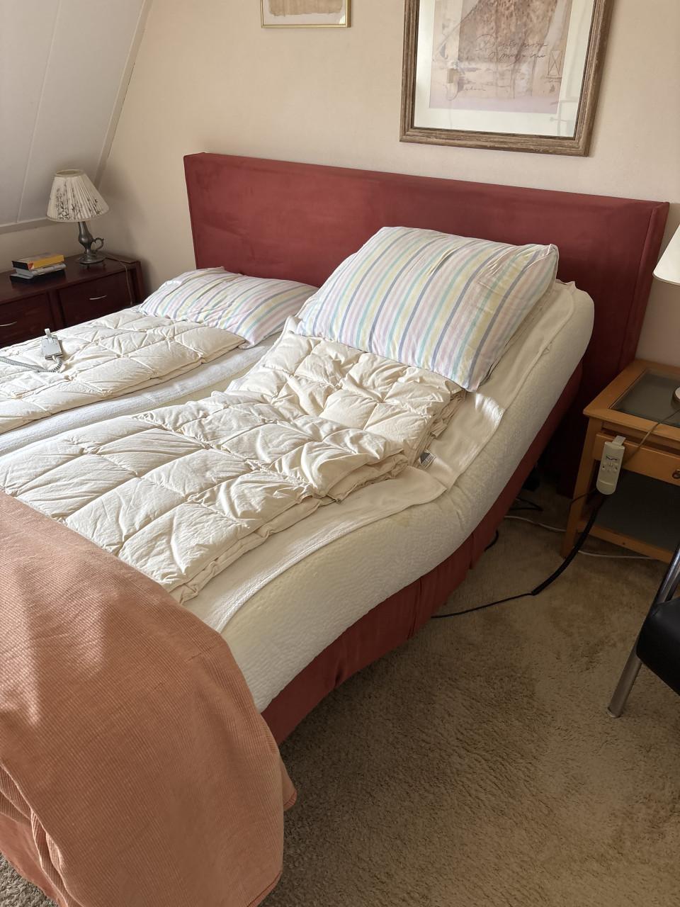 Tweepersoonsbed elektrische