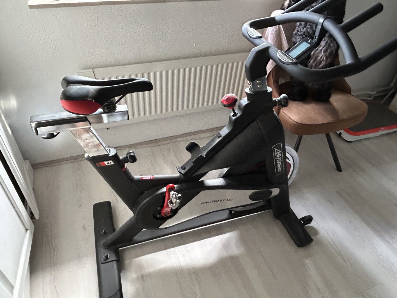 Sport