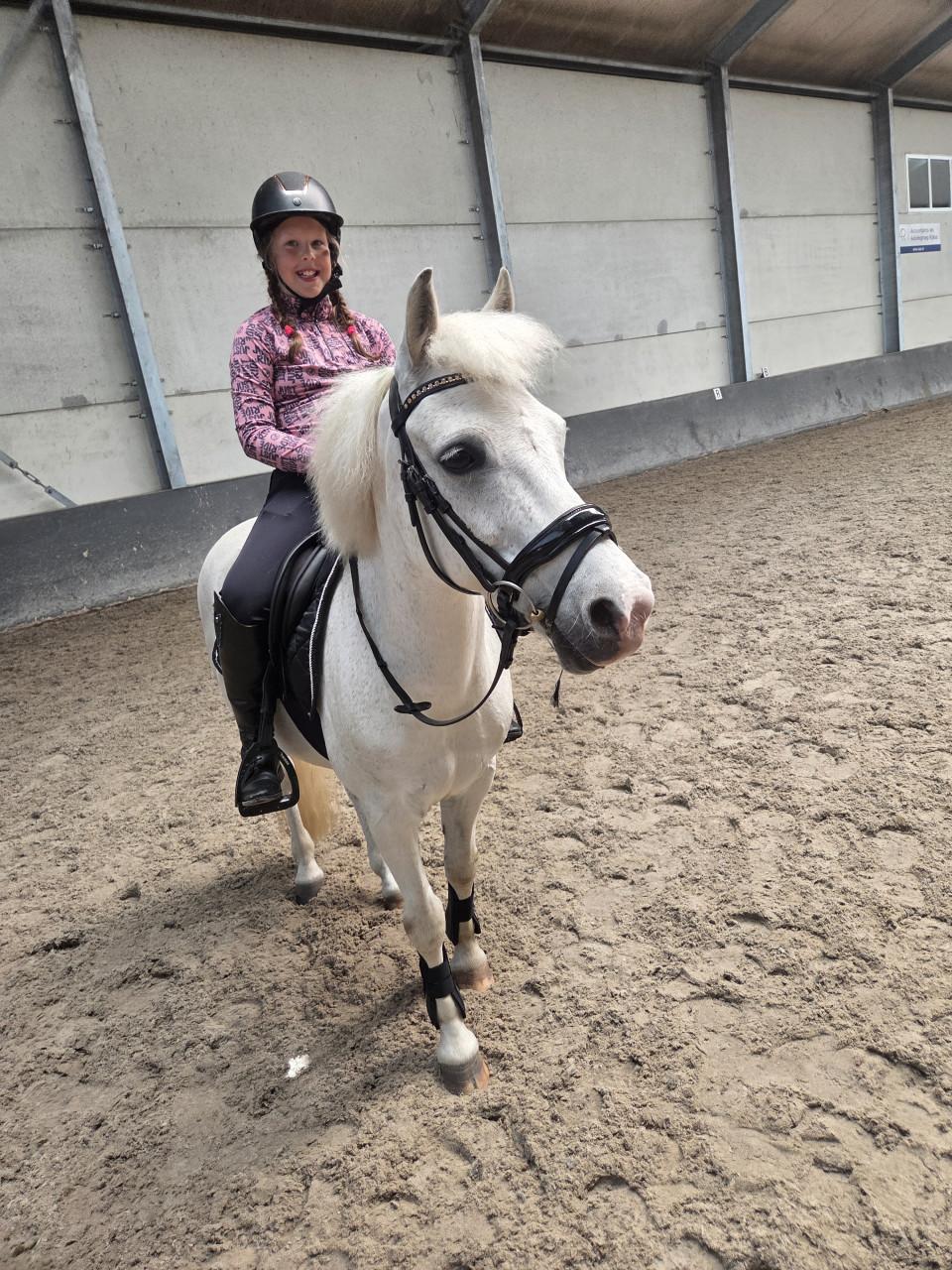 Brave allround kinderpony