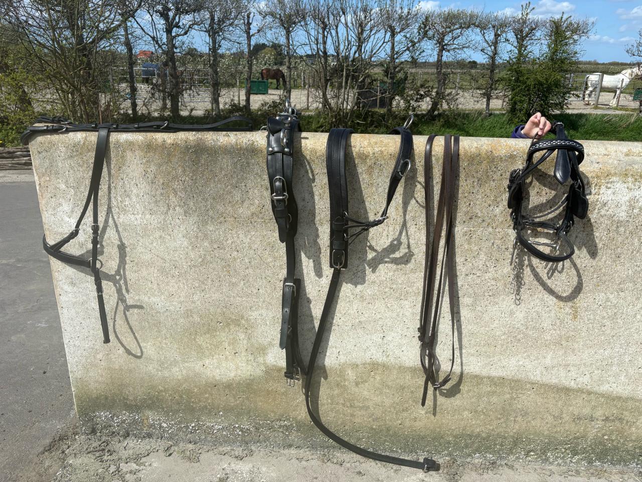 Sulky shetlander met toebehoren