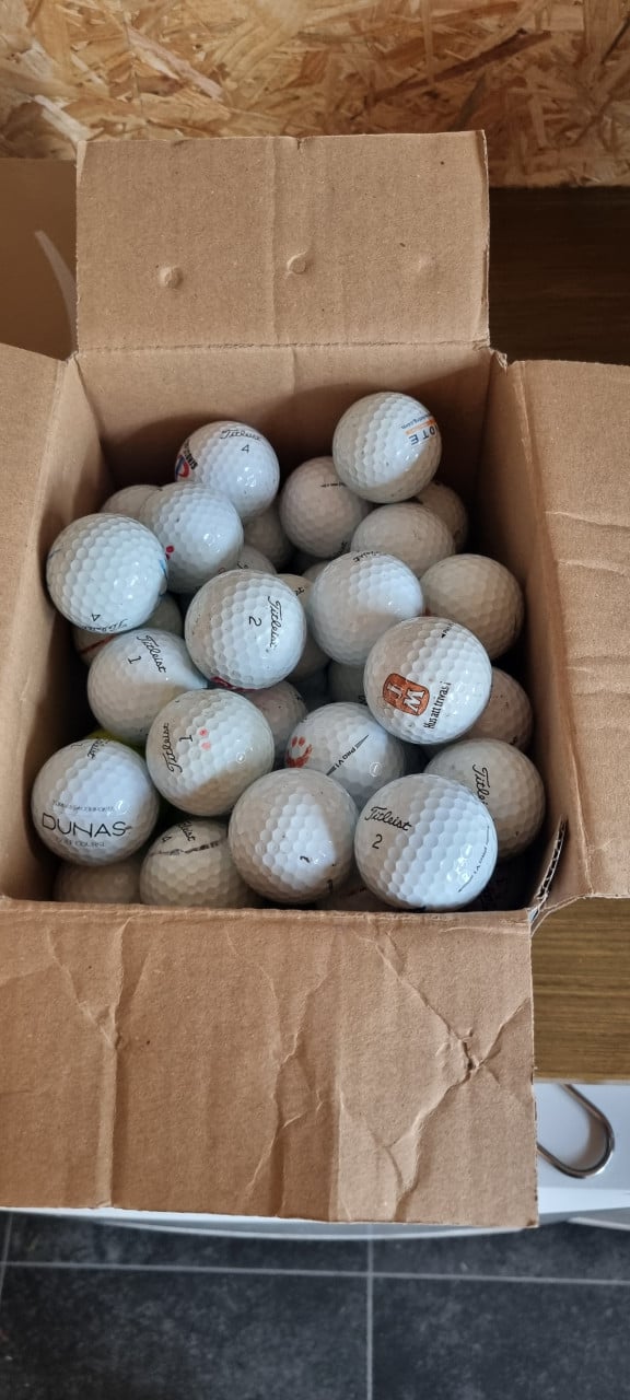 Titleist Pro V1 golfballen