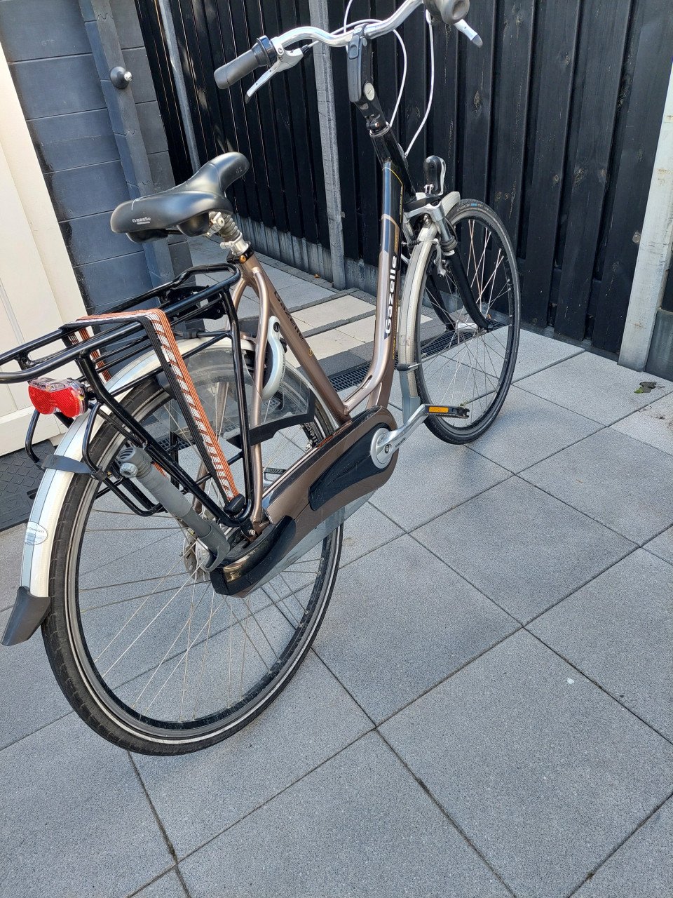 Gazelle Orange
