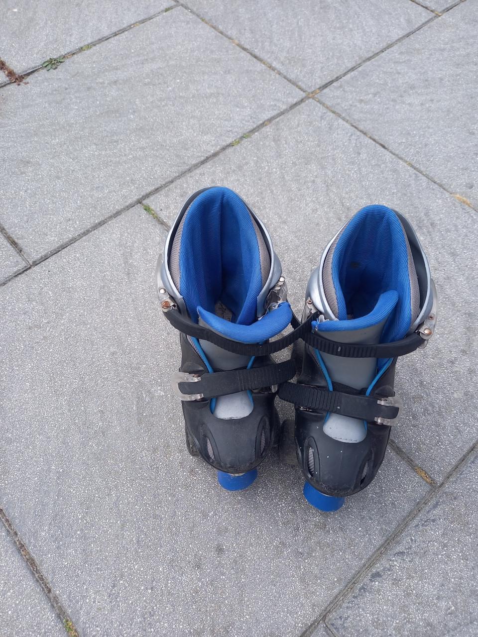 Skeelers