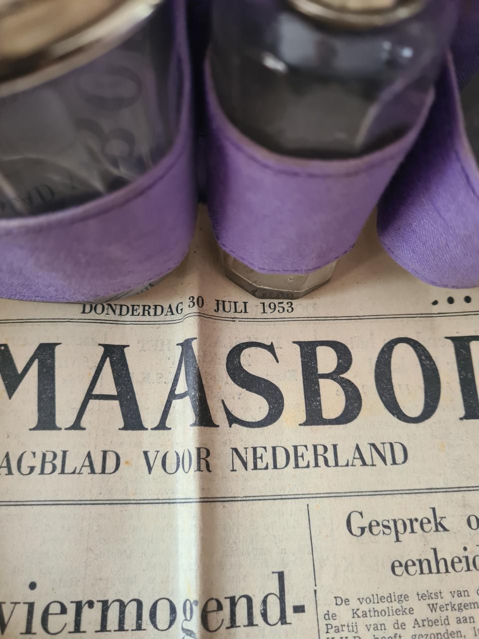 Vintage toilet reis koffer