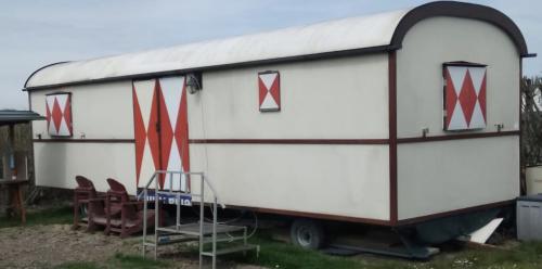 Pipowagen te koop