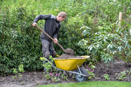 Tuin onderhoud