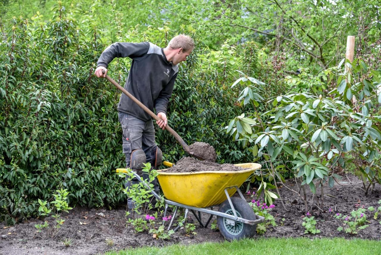 Tuin onderhoud