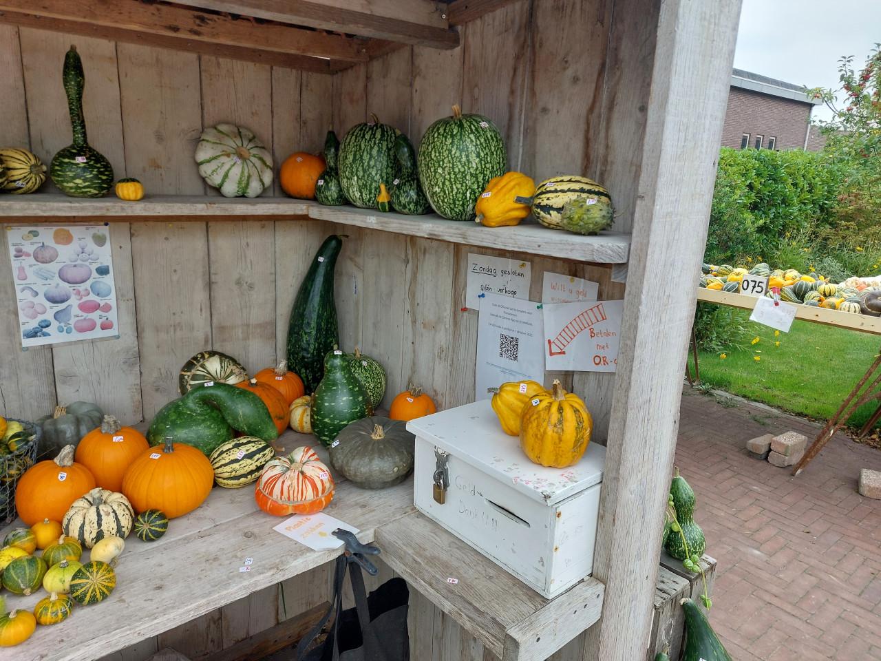 Pompoenen