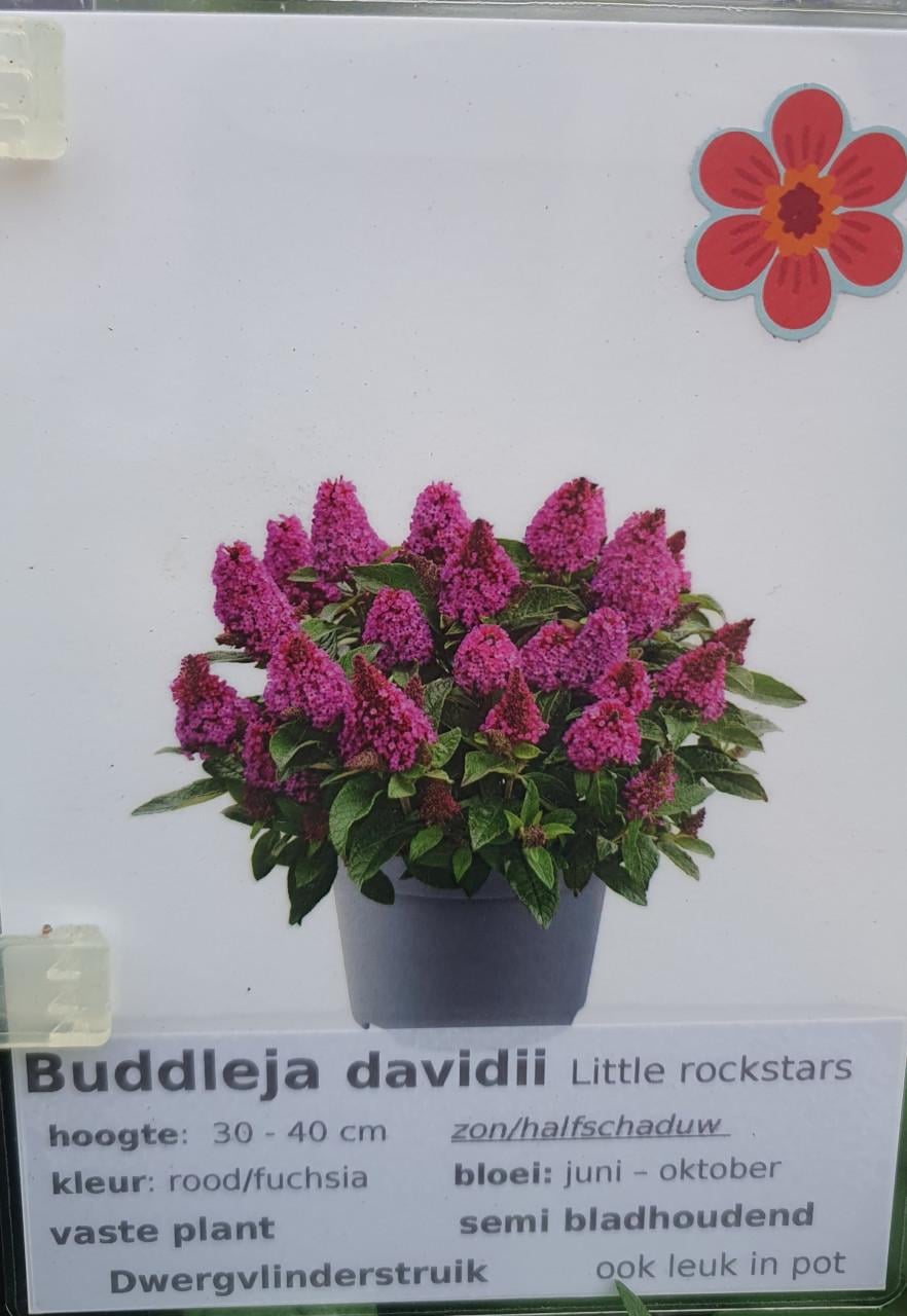 TUINPLANTEN Oudelande
