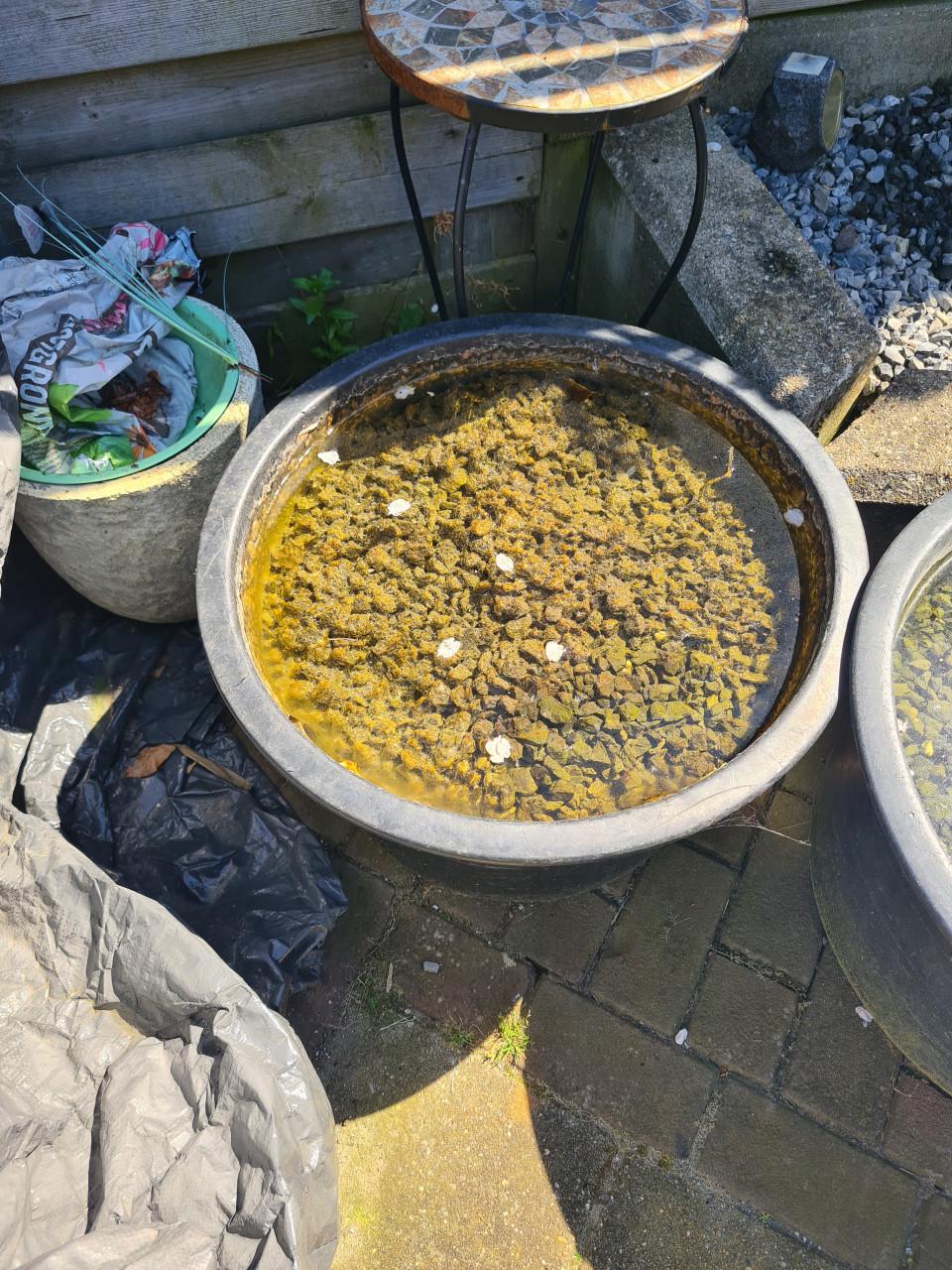 Gratis speciekuip met steentjes/grind