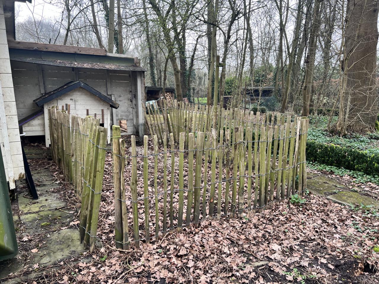 Schapenhek inclusief kippenhok