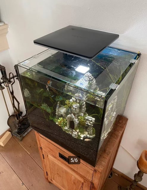 Superfish Qubiq 60 pro