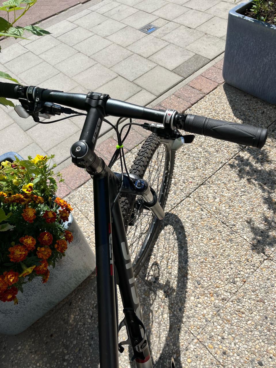 Focus MTB