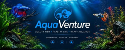 AquaVentura