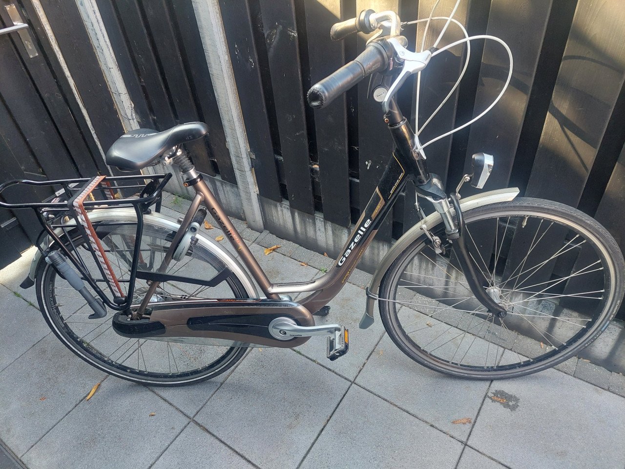 Gazelle orange