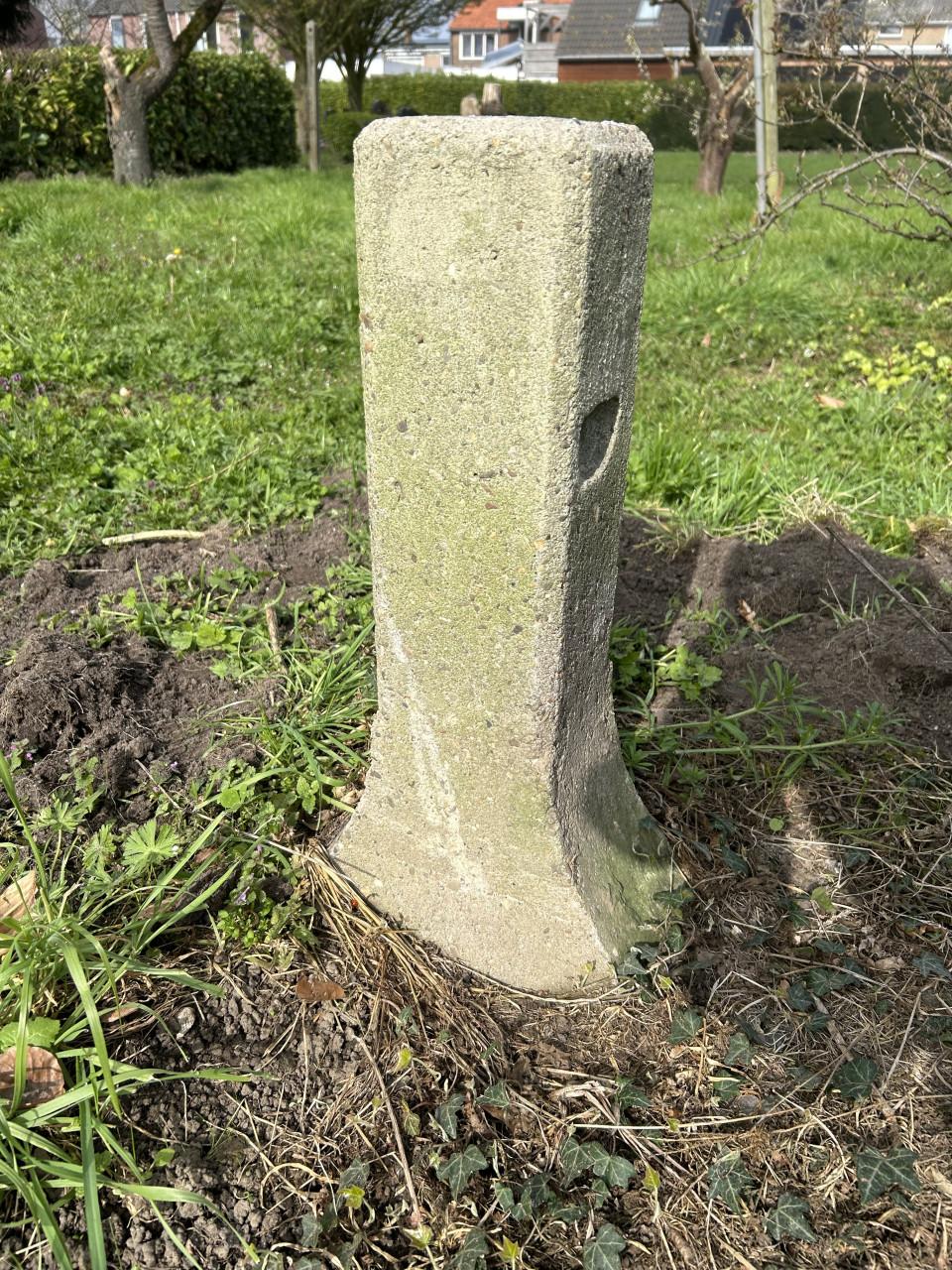 Gratis 8 betonnen poeren 60 cm hoog