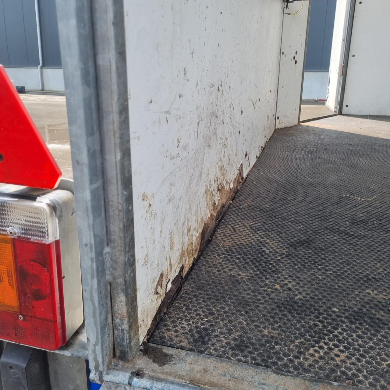 Weijer paardentrailer