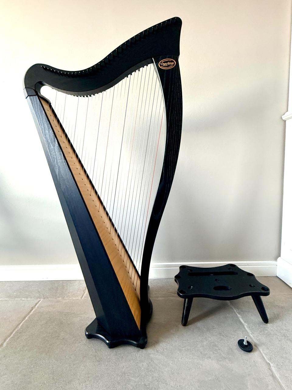 Harp Dusty Strings Ravenna 34