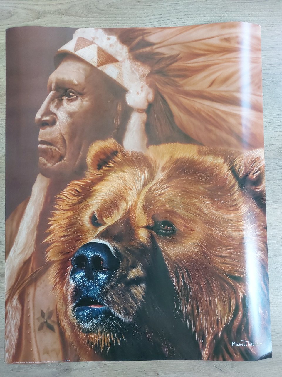 2 prachtige sjamanistische posters