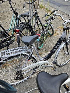 Damesfiets Gazelle Northa