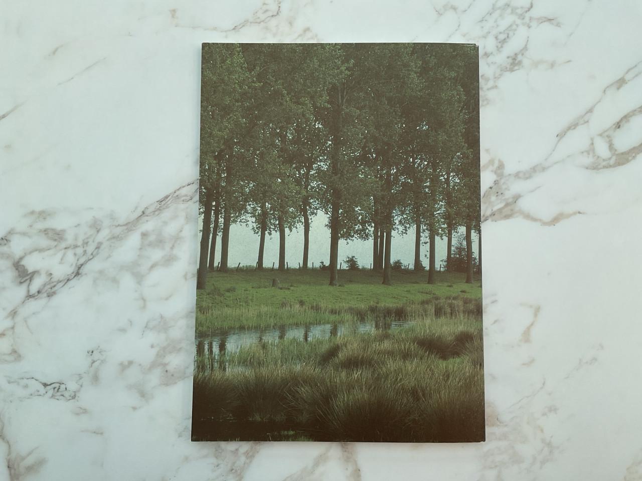 Pennestreek zeeuws vlaanderen