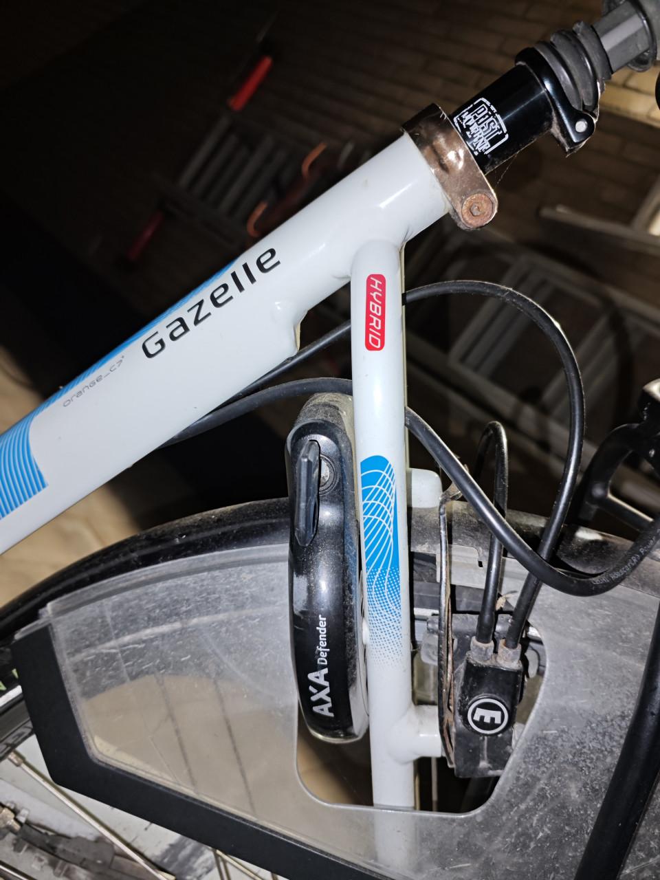 Gazelle Orange C7+