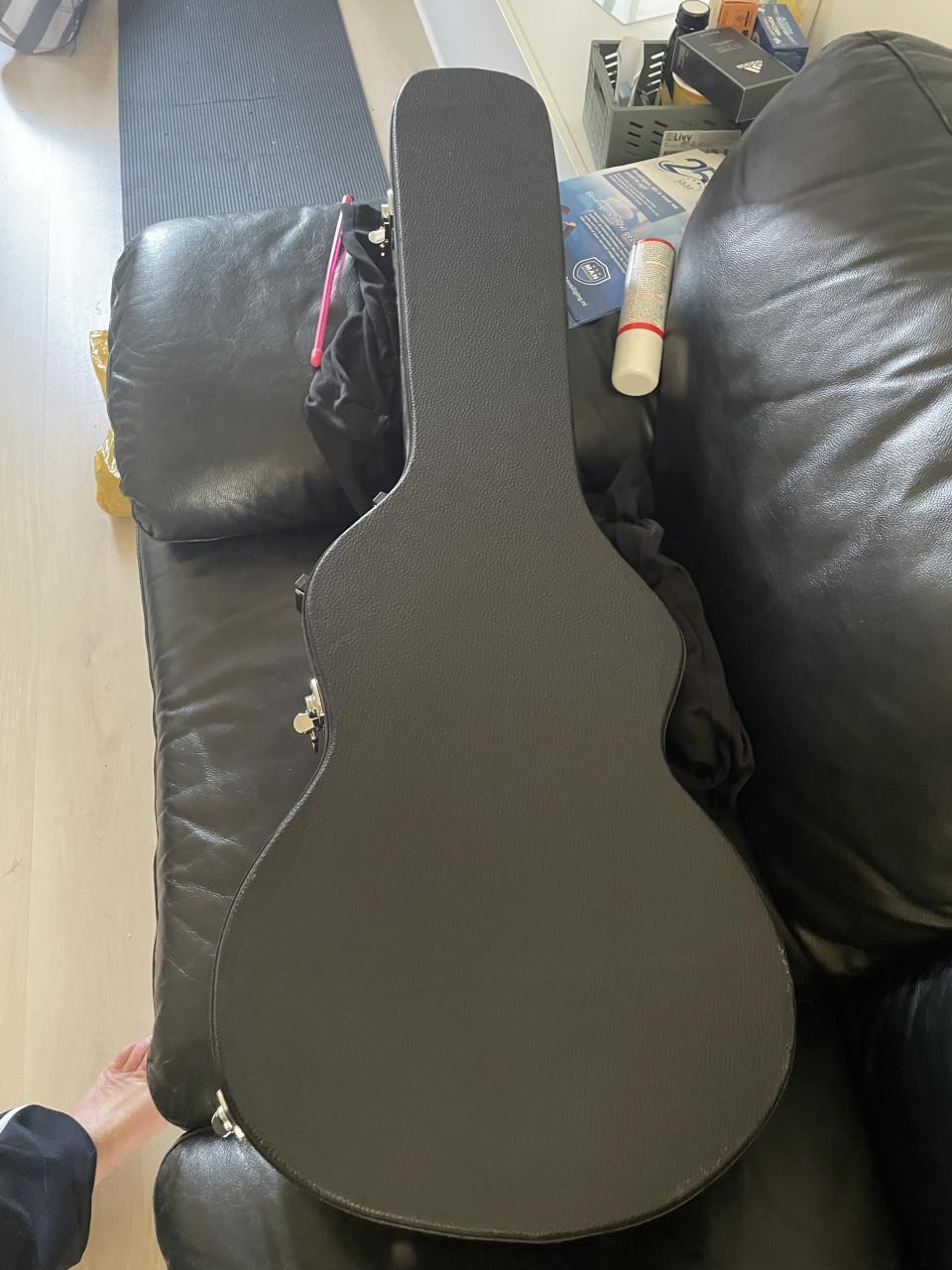 Paul Reed Smith SE hollowbody