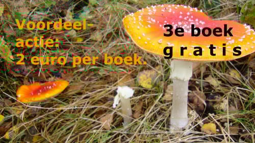 Vind je BOEK voor 2 euro + Elk 3e boek naar keuze GRATIS