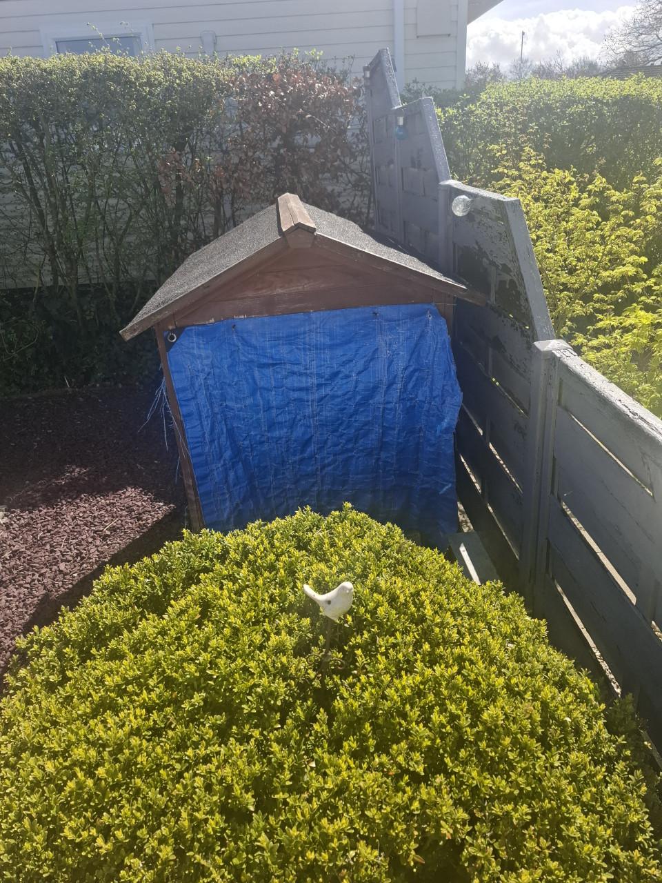 Dierenhok kattenren of ander huisdier plus kattenhuis