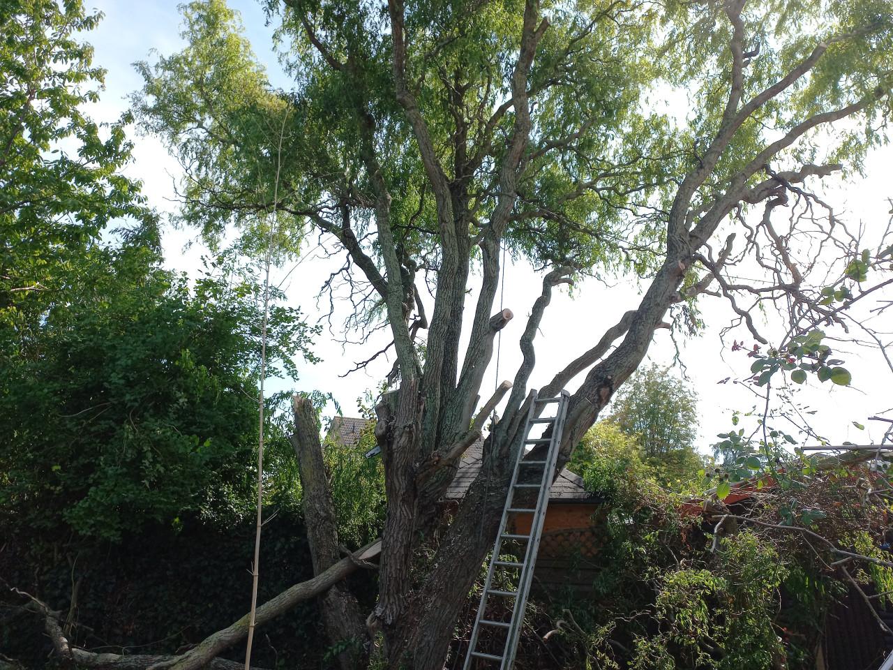 Tuinaanleg en Kluswerk