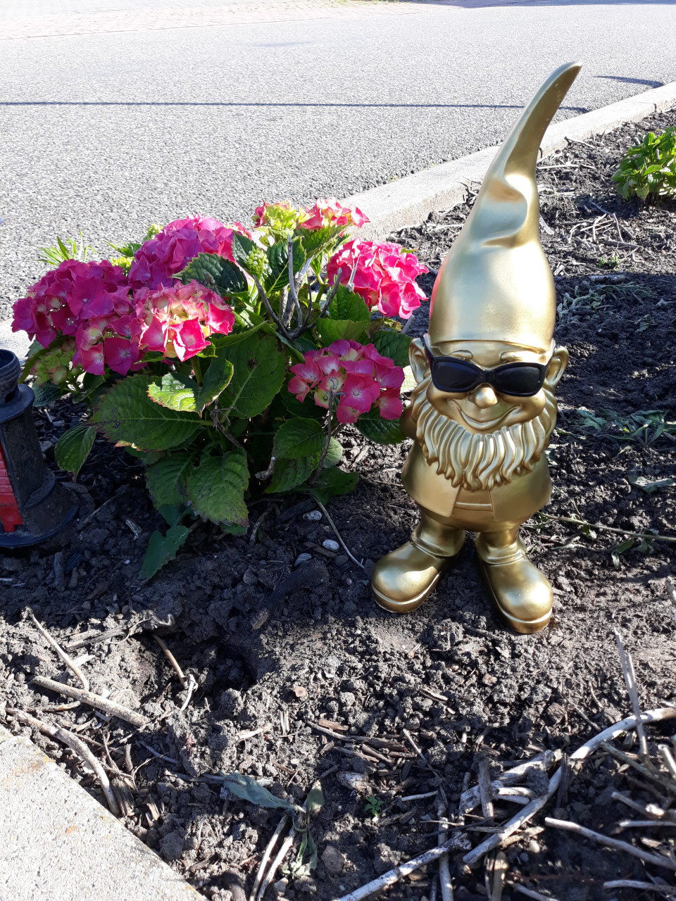 Tuinkabouter goud met zwarte zonnebril