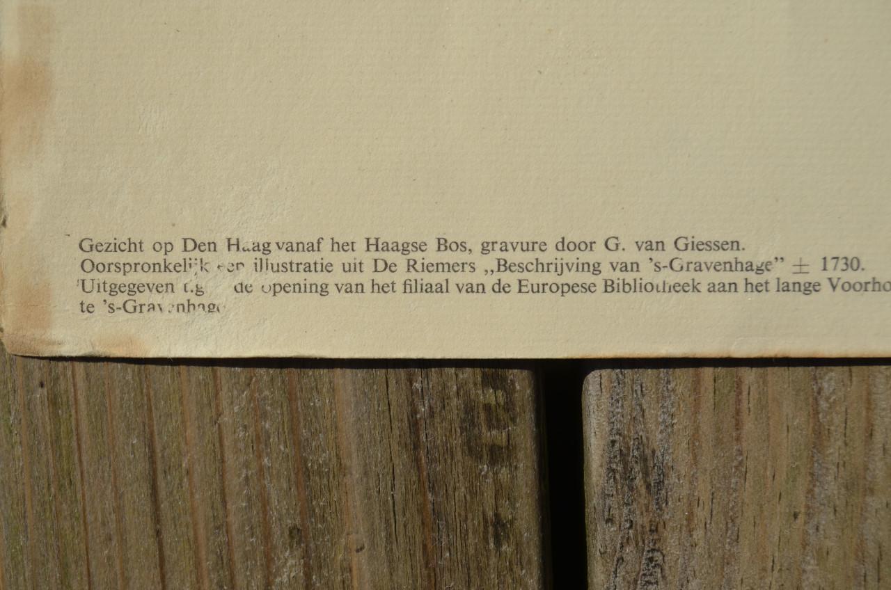 Grote dressoirprent Den Haag 105 x 55 cm