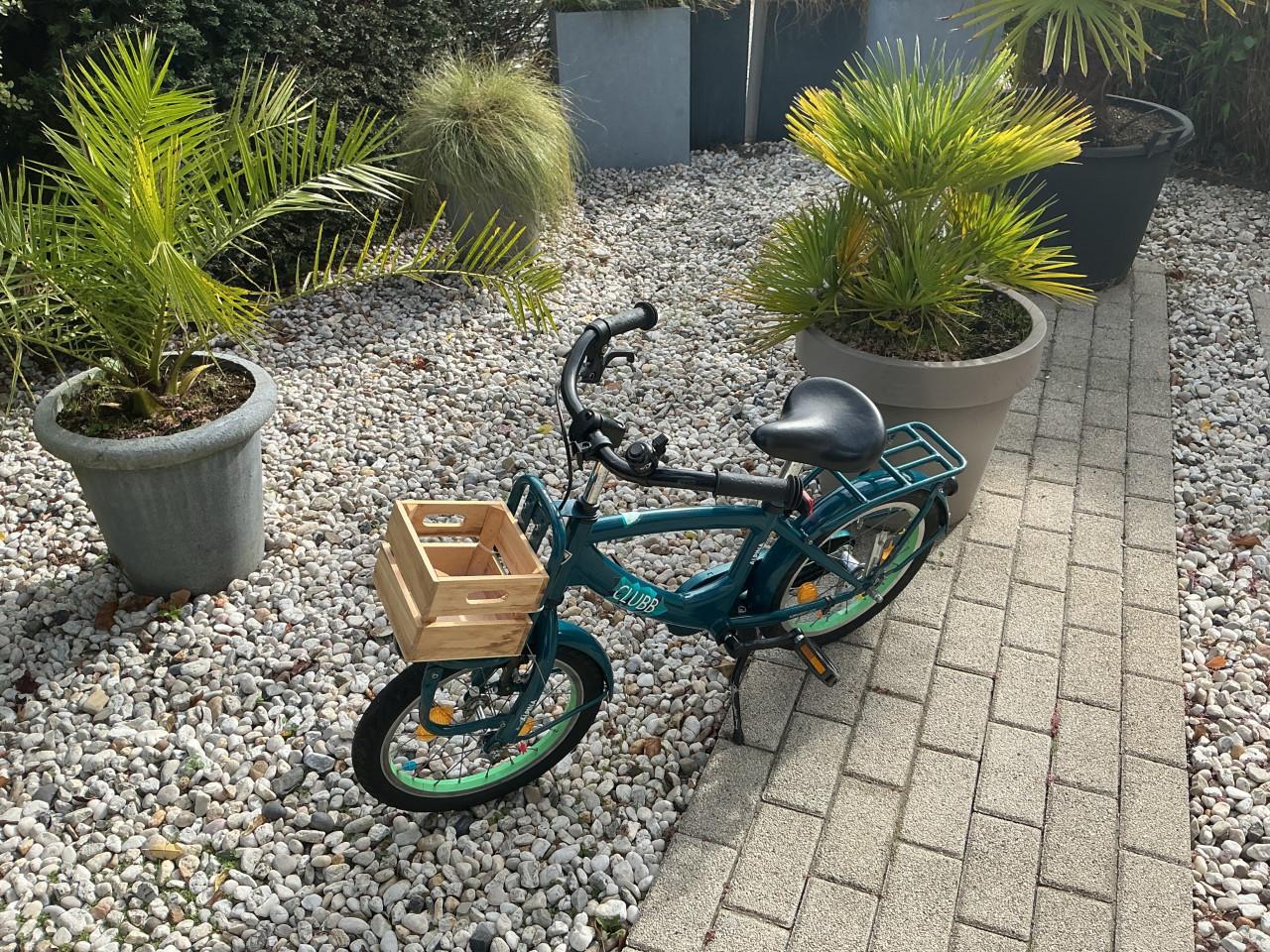 Te Koop,stoere kleuter fiets.