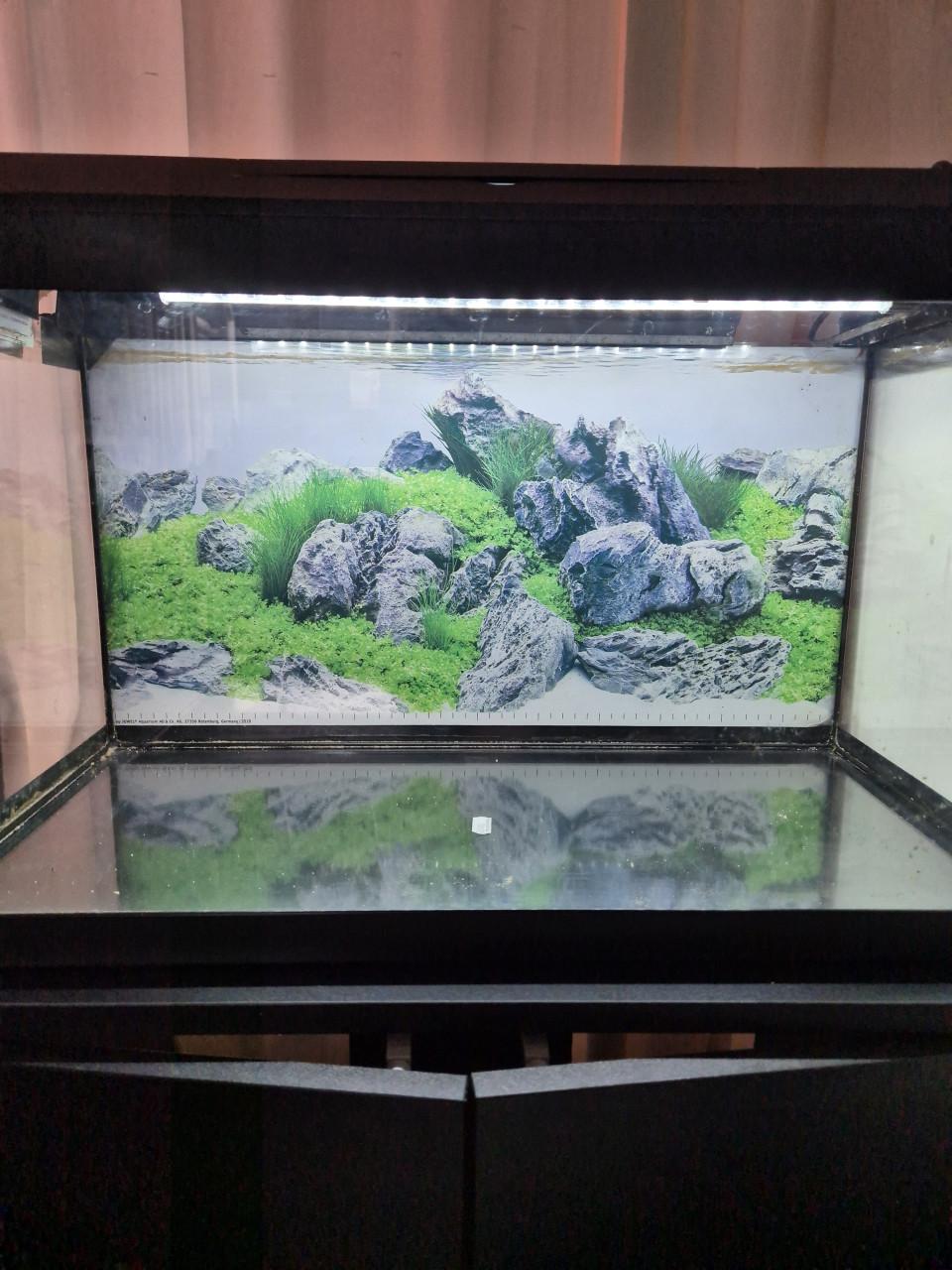 Juwel primo 60l aquarium