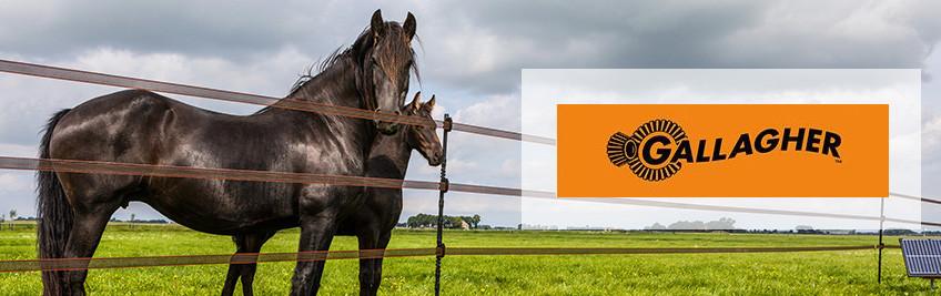 Compleet assortiment elektrische weideafrastering