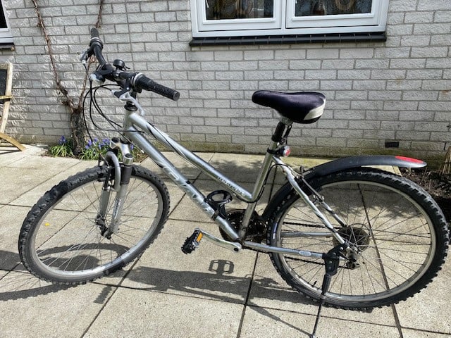 Giant Mountain bike