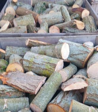 Haardhout handzame bulletjes