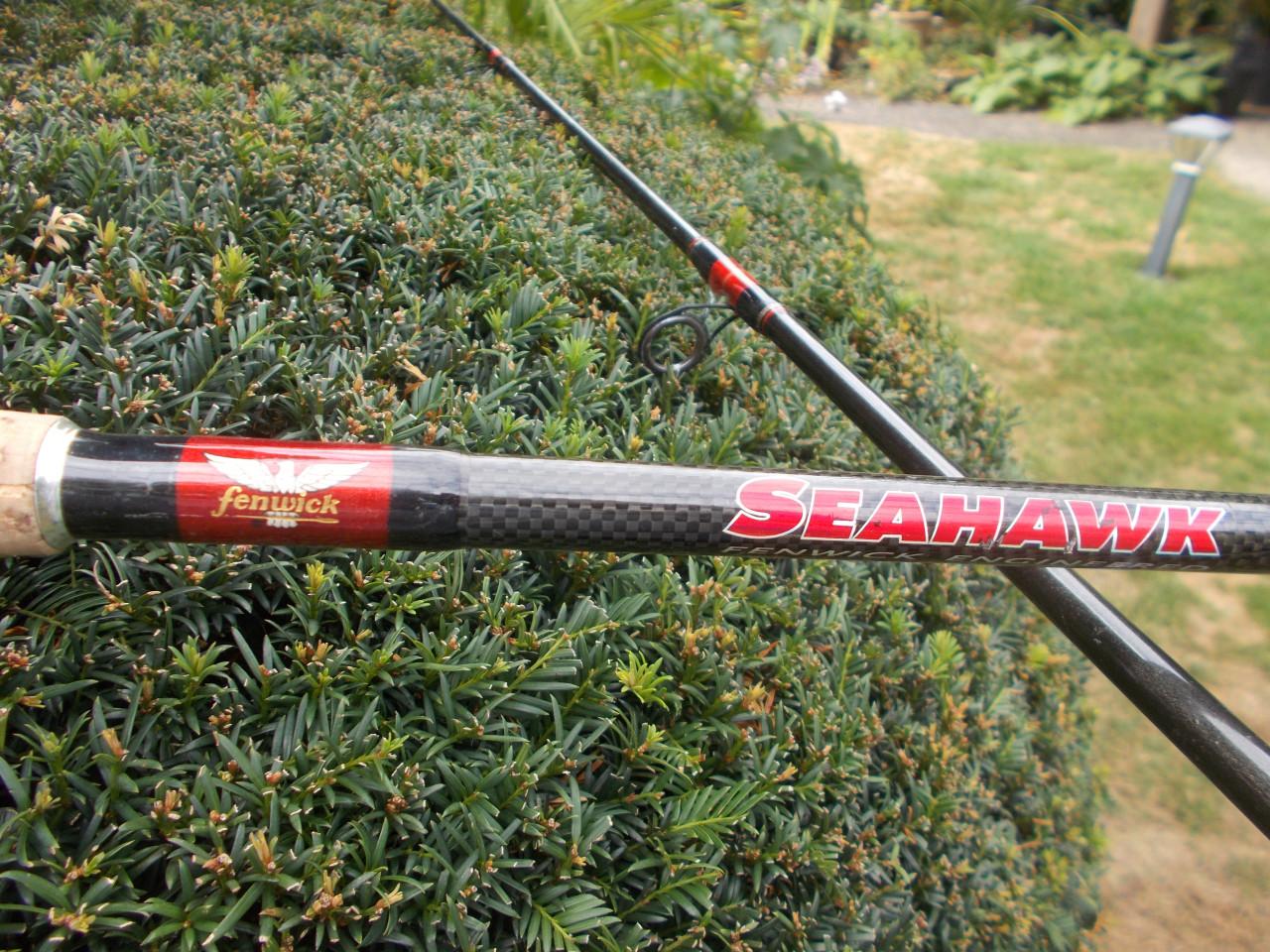 FENWICK SEAHAWK Carbon zeebaars lengte 300 cm w.g. 80-150 gram
