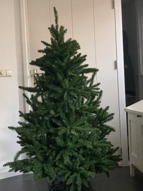 Kerstboom Triumph tree. 1.55 hoog