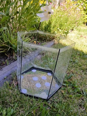 Gratis op te halen 25l aquarium,  waterdicht.