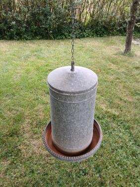 Kippen voerton verzinkt