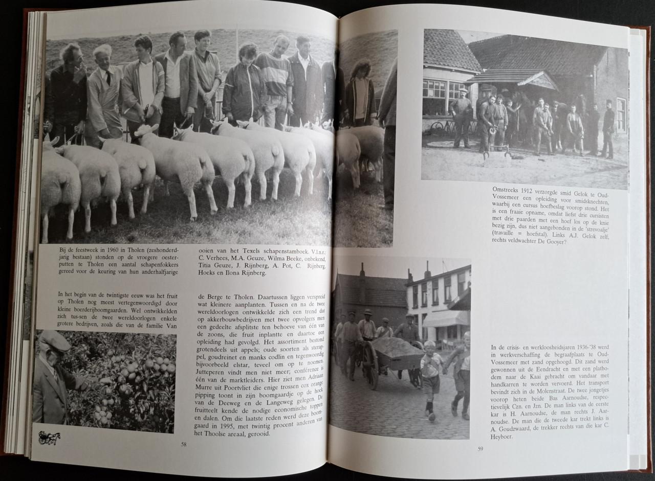 HET EILAND THOLEN van 1900 tot nu deel 2 - MA Geuze - 1995