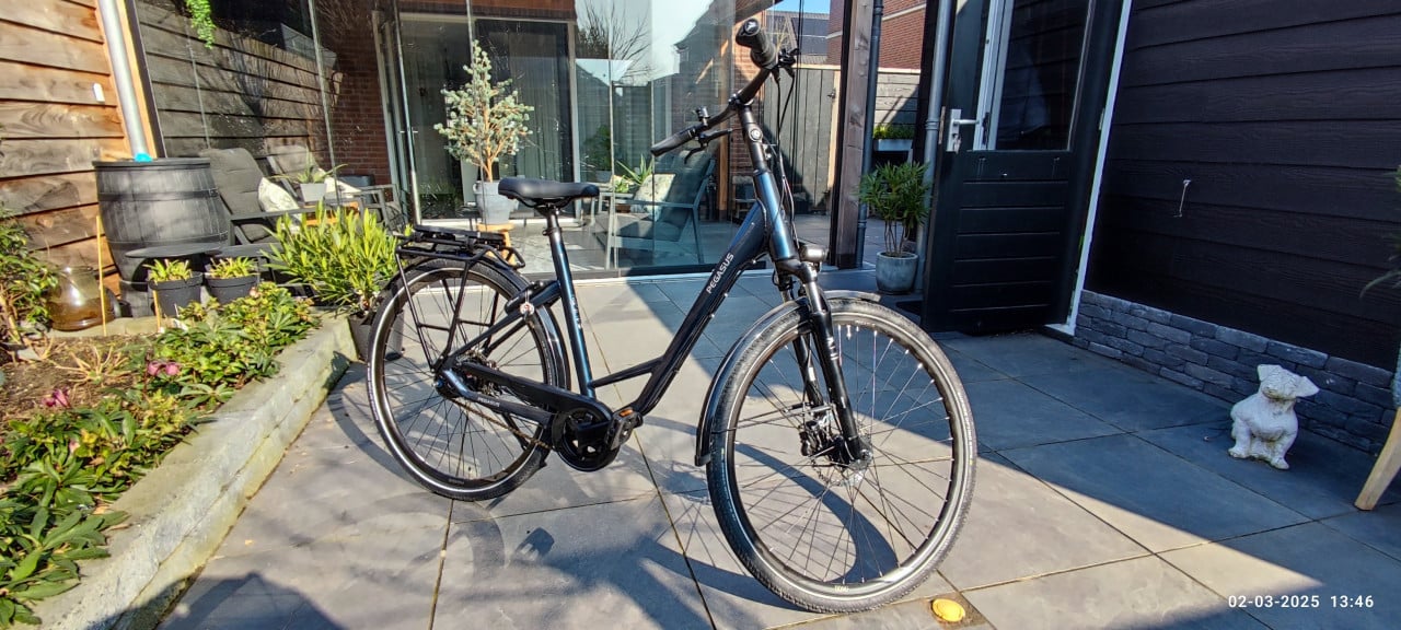 Damesfiets Pegasus