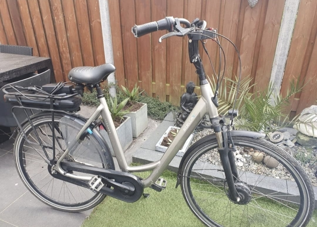 Elektrische fiets Voque Royal | bezorgen mogelijk.