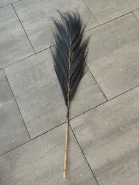 Zwarte pluim