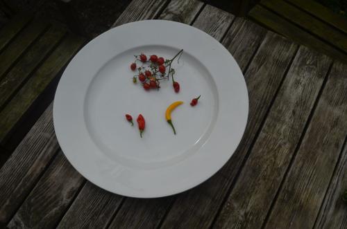 Schitterende witte aardewerk schaal / schotel ipst en groot!